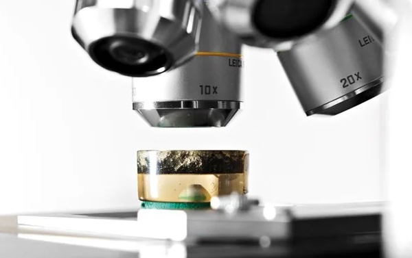 Leica Objektive mit Schliffprobe
